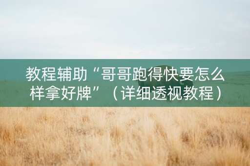 教程辅助“哥哥跑得快要怎么样拿好牌”（详细透视教程）-哔哩哔哩