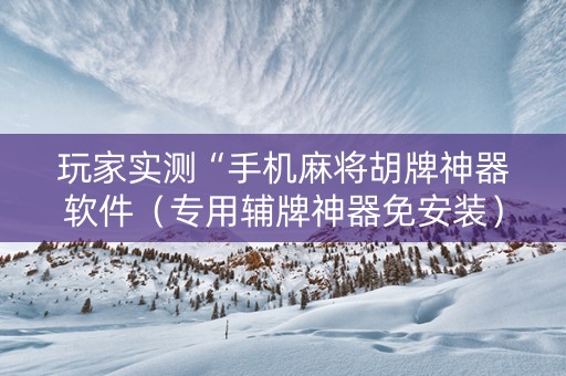 玩家实测“手机麻将胡牌神器软件（专用辅牌神器免安装）