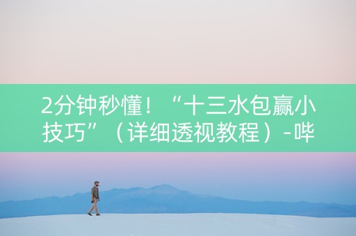 2分钟秒懂！“十三水包赢小技巧”（详细透视教程）-哔哩哔哩