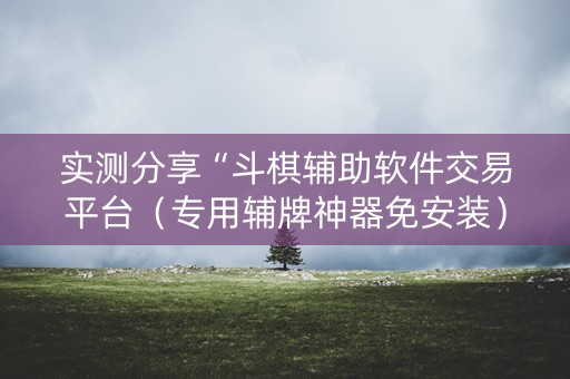 实测分享“斗棋辅助软件交易平台（专用辅牌神器免安装）