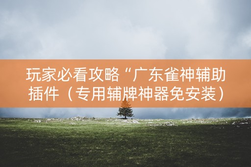 玩家必看攻略“广东雀神辅助插件（专用辅牌神器免安装）