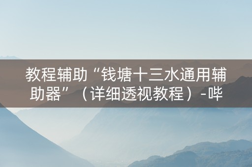 教程辅助“钱塘十三水通用辅助器”（详细透视教程）-哔哩哔哩