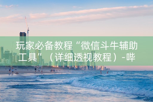玩家必备教程“微信斗牛辅助工具”（详细透视教程）-哔哩哔哩