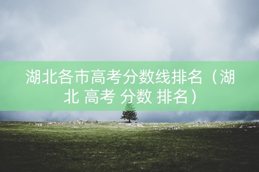 湖北各市高考分数线排名（湖北 高考 分数 排名）