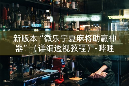 新版本“微乐宁夏麻将助赢神器”（详细透视教程）-哔哩哔哩