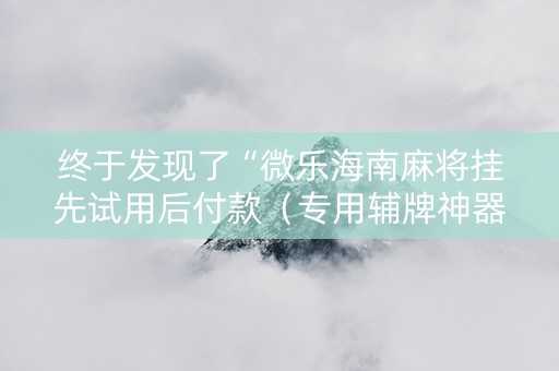 终于发现了“微乐海南麻将挂先试用后付款（专用辅牌神器免安装）