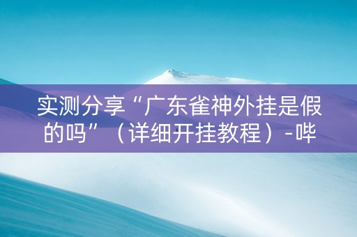 实测分享“广东雀神外挂是假的吗”（详细开挂教程）-哔哩哔哩