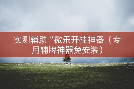 实测辅助“微乐开挂神器（专用辅牌神器免安装）