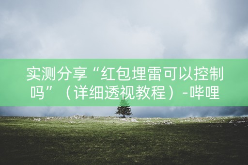 实测分享“红包埋雷可以控制吗”（详细透视教程）-哔哩哔哩