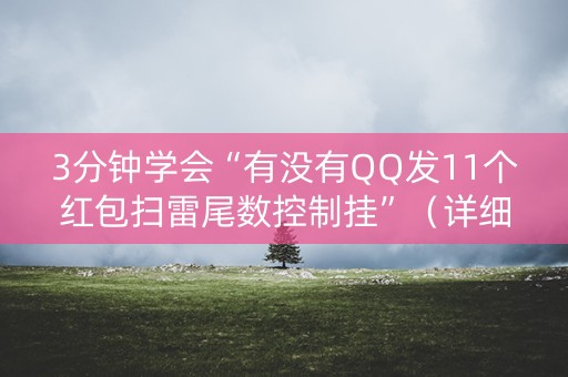 3分钟学会“有没有QQ发11个红包扫雷尾数控制挂”（详细透视教程）-哔哩哔哩