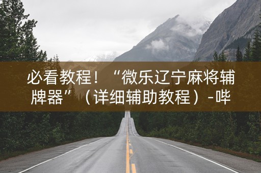 必看教程！“微乐辽宁麻将辅牌器”（详细辅助教程）-哔哩哔哩