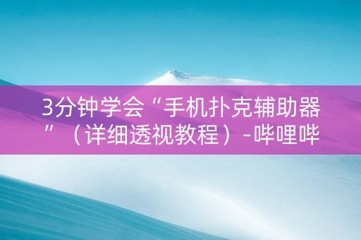 3分钟学会“手机扑克辅助器”（详细透视教程）-哔哩哔哩
