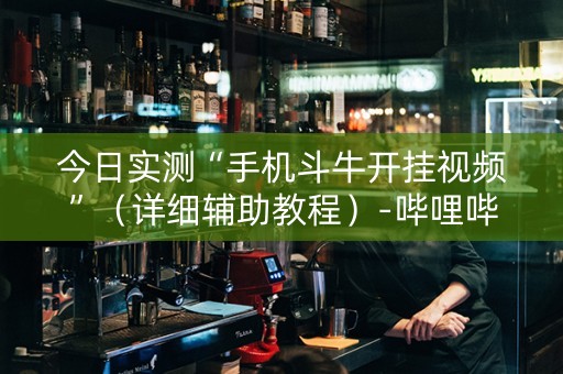 今日实测“手机斗牛开挂视频”（详细辅助教程）-哔哩哔哩
