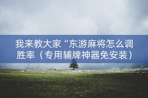 我来教大家“东游麻将怎么调胜率（专用辅牌神器免安装）