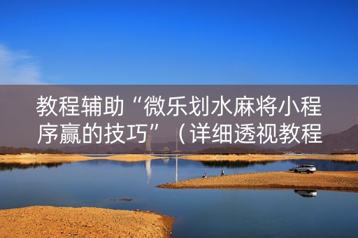 教程辅助“微乐划水麻将小程序赢的技巧”（详细透视教程）-哔哩哔哩