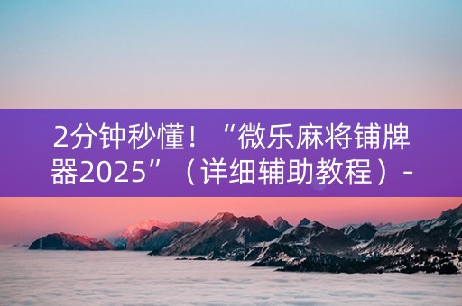 2分钟秒懂！“微乐麻将铺牌器2025”（详细辅助教程）-哔哩哔哩