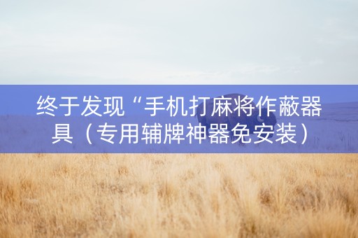 终于发现“手机打麻将作蔽器具（专用辅牌神器免安装）