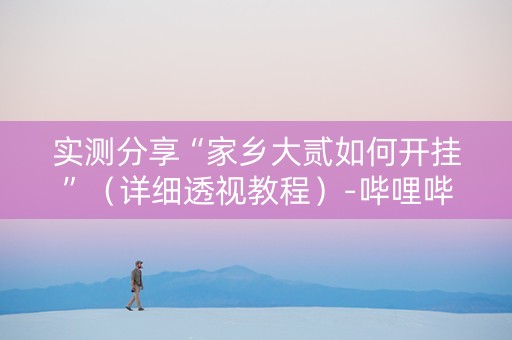 实测分享“家乡大贰如何开挂”（详细透视教程）-哔哩哔哩