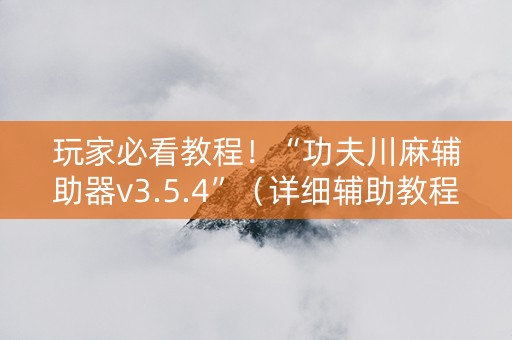玩家必看教程！“功夫川麻辅助器v3.5.4”（详细辅助教程）-哔哩哔哩