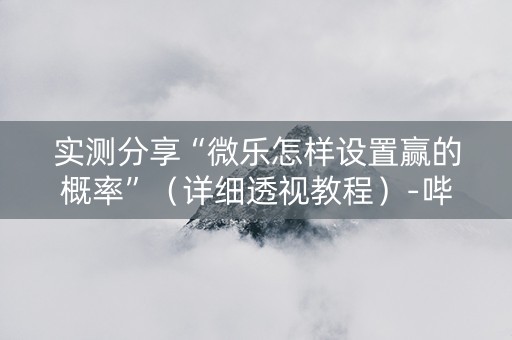 实测分享“微乐怎样设置赢的概率”（详细透视教程）-哔哩哔哩