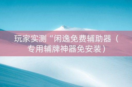 玩家实测“闲逸免费辅助器（专用辅牌神器免安装）