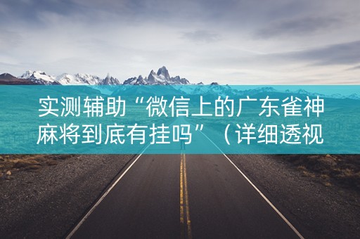 实测辅助“微信上的广东雀神麻将到底有挂吗”（详细透视教程）-哔哩哔哩