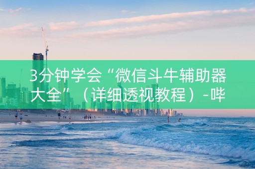 3分钟学会“微信斗牛辅助器大全”（详细透视教程）-哔哩哔哩