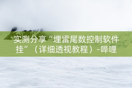 实测分享“埋雷尾数控制软件挂”（详细透视教程）-哔哩哔哩