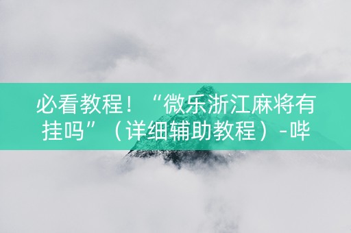 必看教程！“微乐浙江麻将有挂吗”（详细辅助教程）-哔哩哔哩