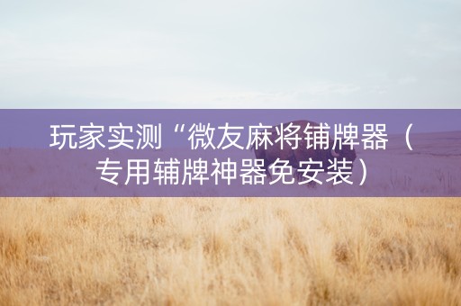 玩家实测“微友麻将铺牌器（专用辅牌神器免安装）
