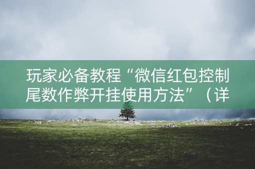 玩家必备教程“微信红包控制尾数作弊开挂使用方法”（详细透视教程）-哔哩哔哩