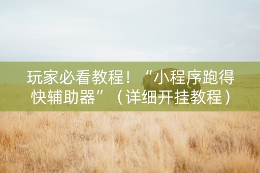 玩家必看教程！“小程序跑得快辅助器”（详细开挂教程）-哔哩哔哩