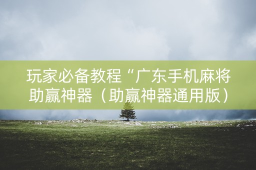 玩家必备教程“广东手机麻将助赢神器（助赢神器通用版）