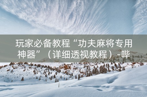 玩家必备教程“功夫麻将专用神器”（详细透视教程）-哔哩哔哩