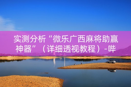 实测分析“微乐广西麻将助赢神器”（详细透视教程）-哔哩哔哩