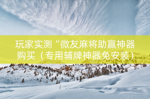 玩家实测“微友麻将助赢神器购买（专用辅牌神器免安装）