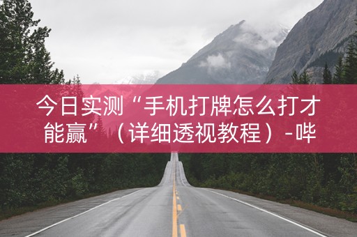 今日实测“手机打牌怎么打才能赢”（详细透视教程）-哔哩哔哩