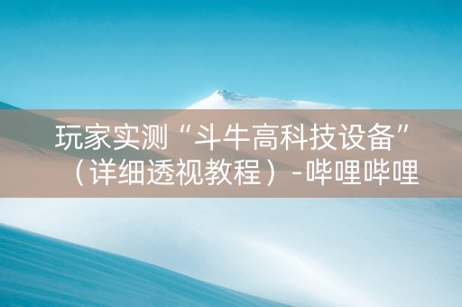 玩家实测“斗牛高科技设备”（详细透视教程）-哔哩哔哩