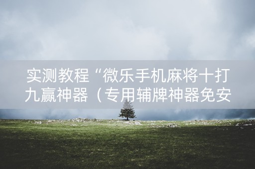 实测教程“微乐手机麻将十打九赢神器（专用辅牌神器免安装）