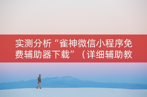 实测分析“雀神微信小程序免费辅助器下载”（详细辅助教程）-哔哩哔哩