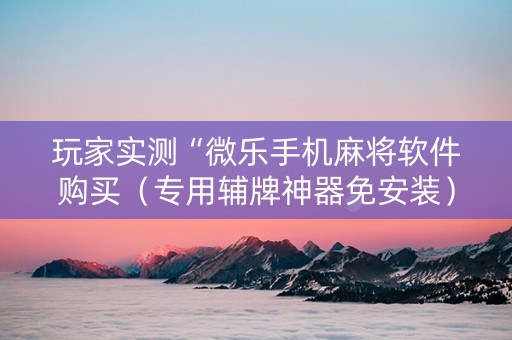 玩家实测“微乐手机麻将软件购买（专用辅牌神器免安装）