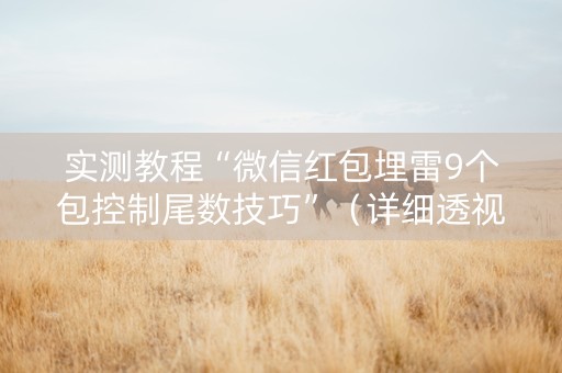 实测教程“微信红包埋雷9个包控制尾数技巧”（详细透视教程）-哔哩哔哩