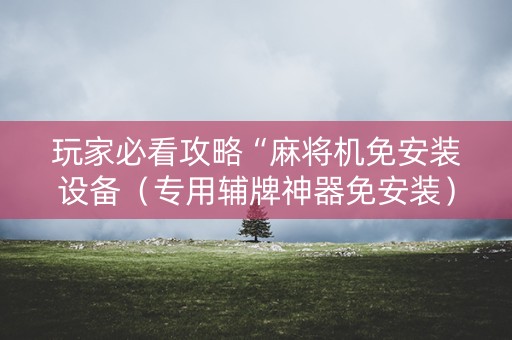 玩家必看攻略“麻将机免安装设备（专用辅牌神器免安装）
