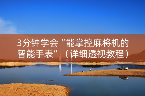 3分钟学会“能掌控麻将机的智能手表”（详细透视教程）-哔哩哔哩