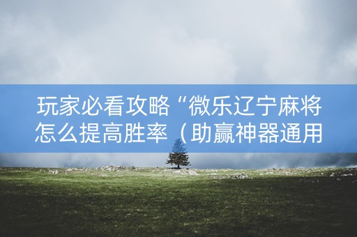 玩家必看攻略“微乐辽宁麻将怎么提高胜率（助赢神器通用版）