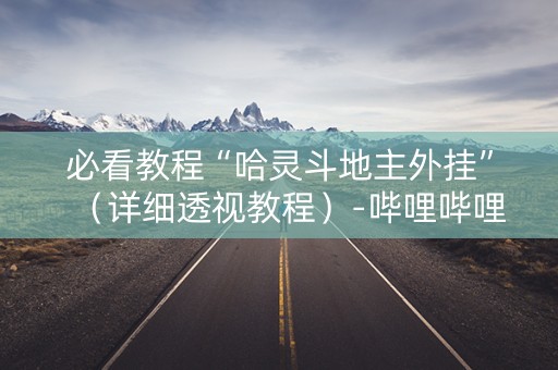 必看教程“哈灵斗地主外挂”（详细透视教程）-哔哩哔哩