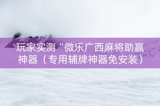 玩家实测“微乐广西麻将助赢神器（专用辅牌神器免安装）