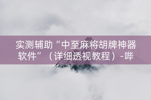 实测辅助“中至麻将胡牌神器软件”（详细透视教程）-哔哩哔哩