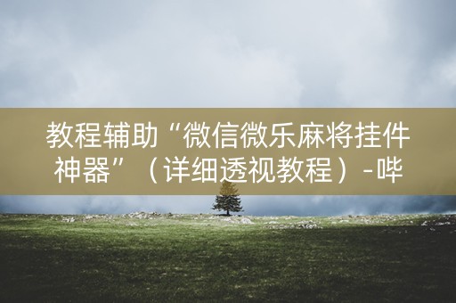 教程辅助“微信微乐麻将挂件神器”（详细透视教程）-哔哩哔哩