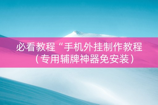 必看教程“手机外挂制作教程（专用辅牌神器免安装）